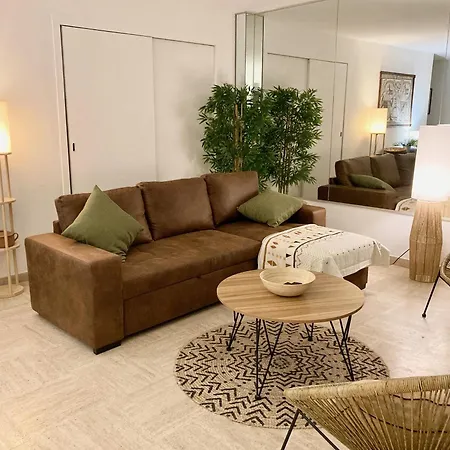 Appartement Grand Duplex Climatise Avec Terrasse Face A La Sainte-Maxime