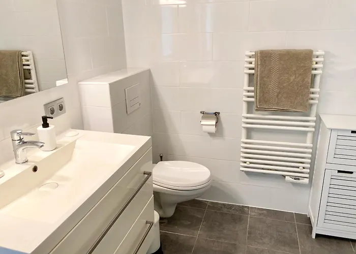 Grand Duplex Climatise Avec Terrasse Face A La