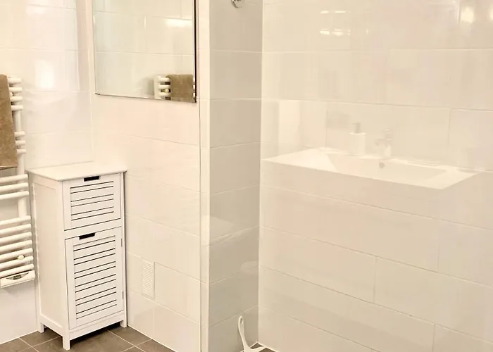 Grand Duplex Climatise Avec Terrasse Face A La