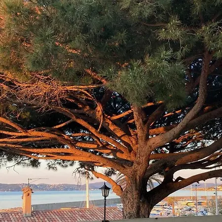 Grand Duplex Climatise Avec Terrasse Face A La