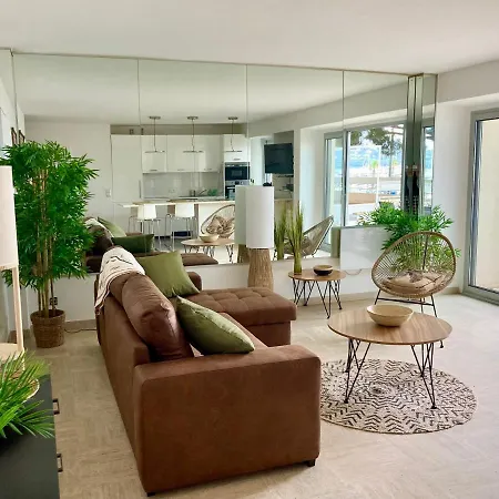 Apartment Grand Duplex Climatise Avec Terrasse Face A La
