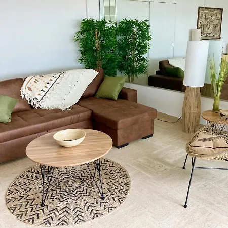 Grand Duplex Climatise Avec Terrasse Face A La Apartment