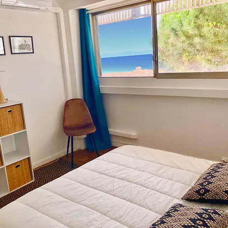 Apartment Grand Duplex Climatise Avec Terrasse Face A La