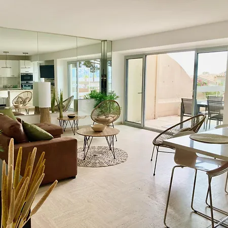 Apartment Grand Duplex Climatise Avec Terrasse Face A La