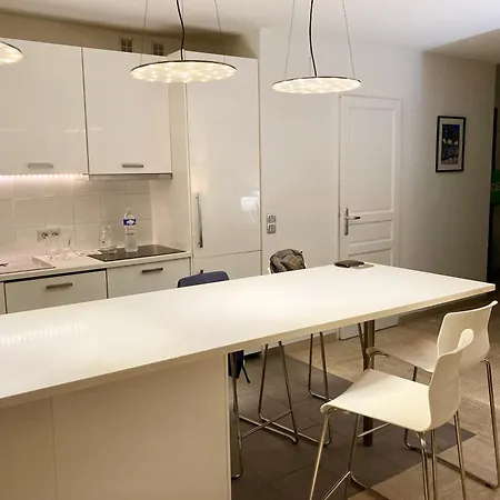 Grand Duplex Climatise Avec Terrasse Face A La