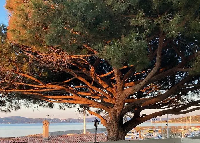 Grand Duplex Climatise Avec Terrasse Face A La